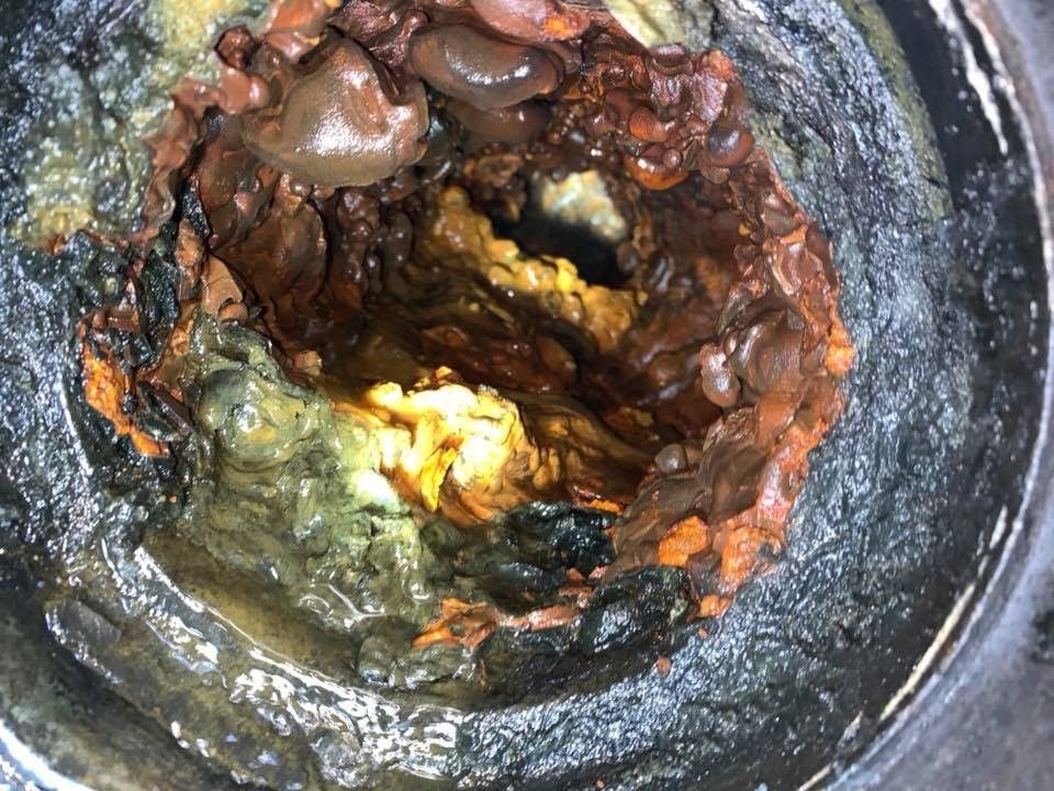 clogged sewer line